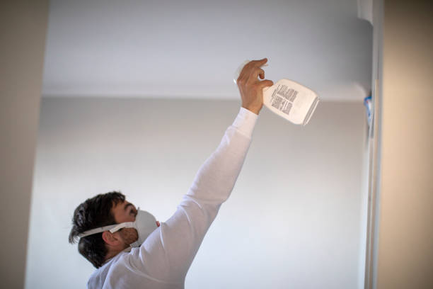 Best Mold Cleaning Services  in Crouch Mesa, NM