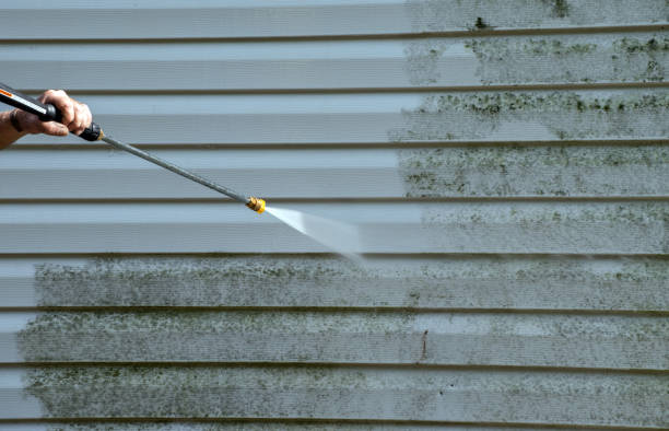 Best Residential Mold Removal  in Crouch Mesa, NM
