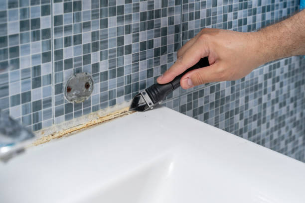 Best Mold Damage Repair  in Crouch Mesa, NM